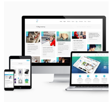 企業(yè)建站CMS網(wǎng)站開發(fā)