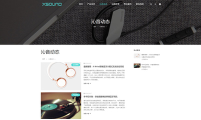 iBrandResponsive黑白簡潔響應式產品展示企業網站定制